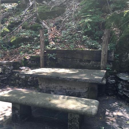 Casa In Koenigs Garten Διαμέρισμα Intragna Εξωτερικό φωτογραφία