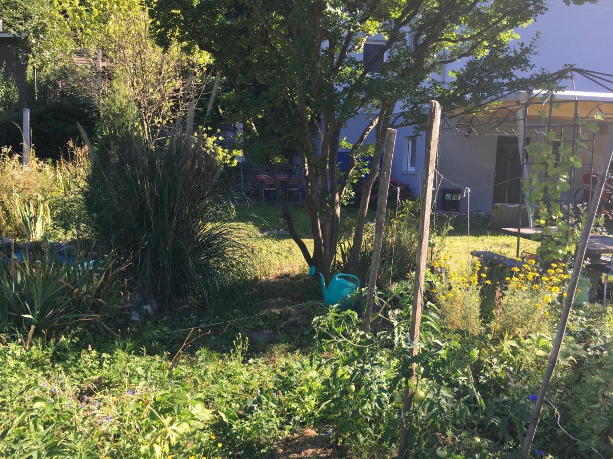 Casa In Koenigs Garten Διαμέρισμα Intragna Εξωτερικό φωτογραφία