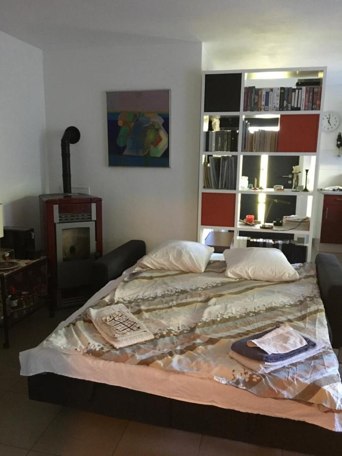 Casa In Koenigs Garten Διαμέρισμα Intragna Εξωτερικό φωτογραφία