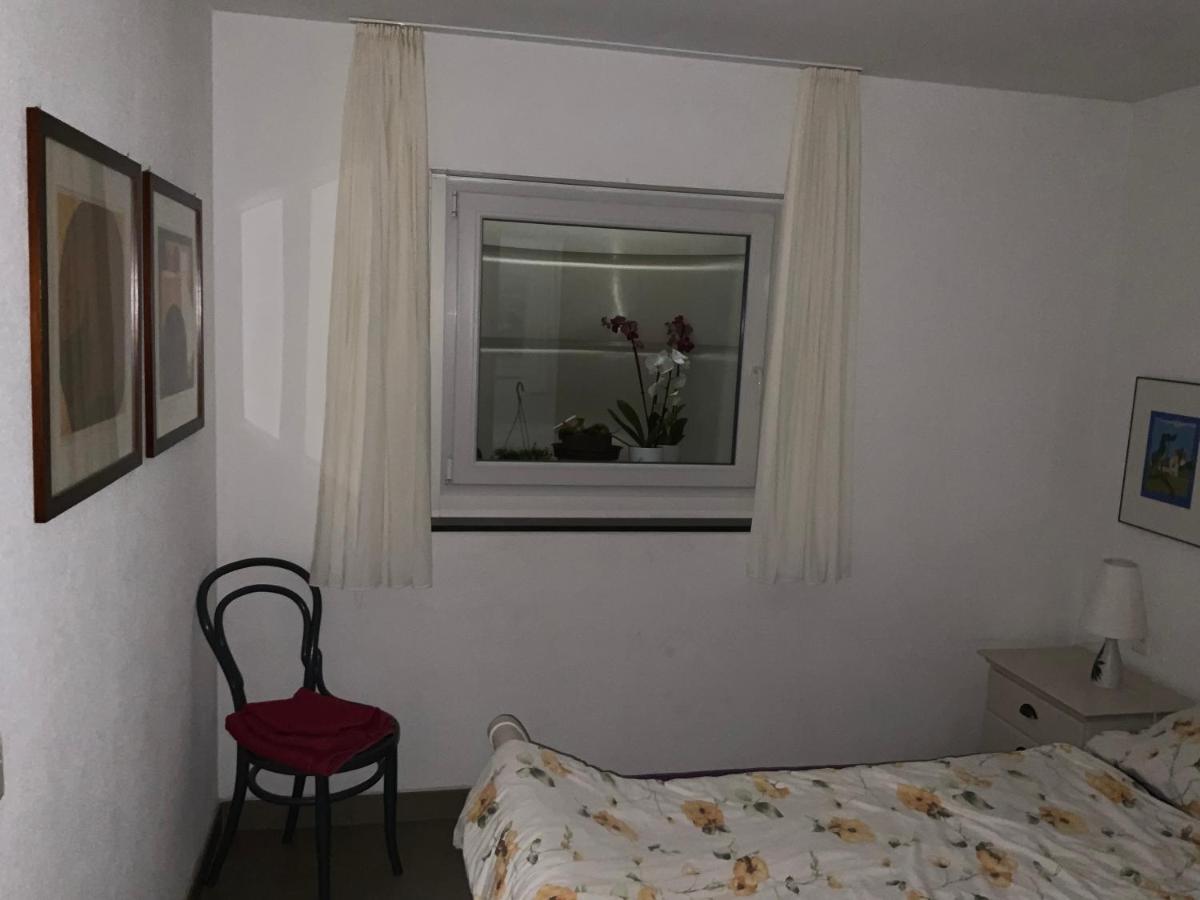 Casa In Koenigs Garten Διαμέρισμα Intragna Εξωτερικό φωτογραφία