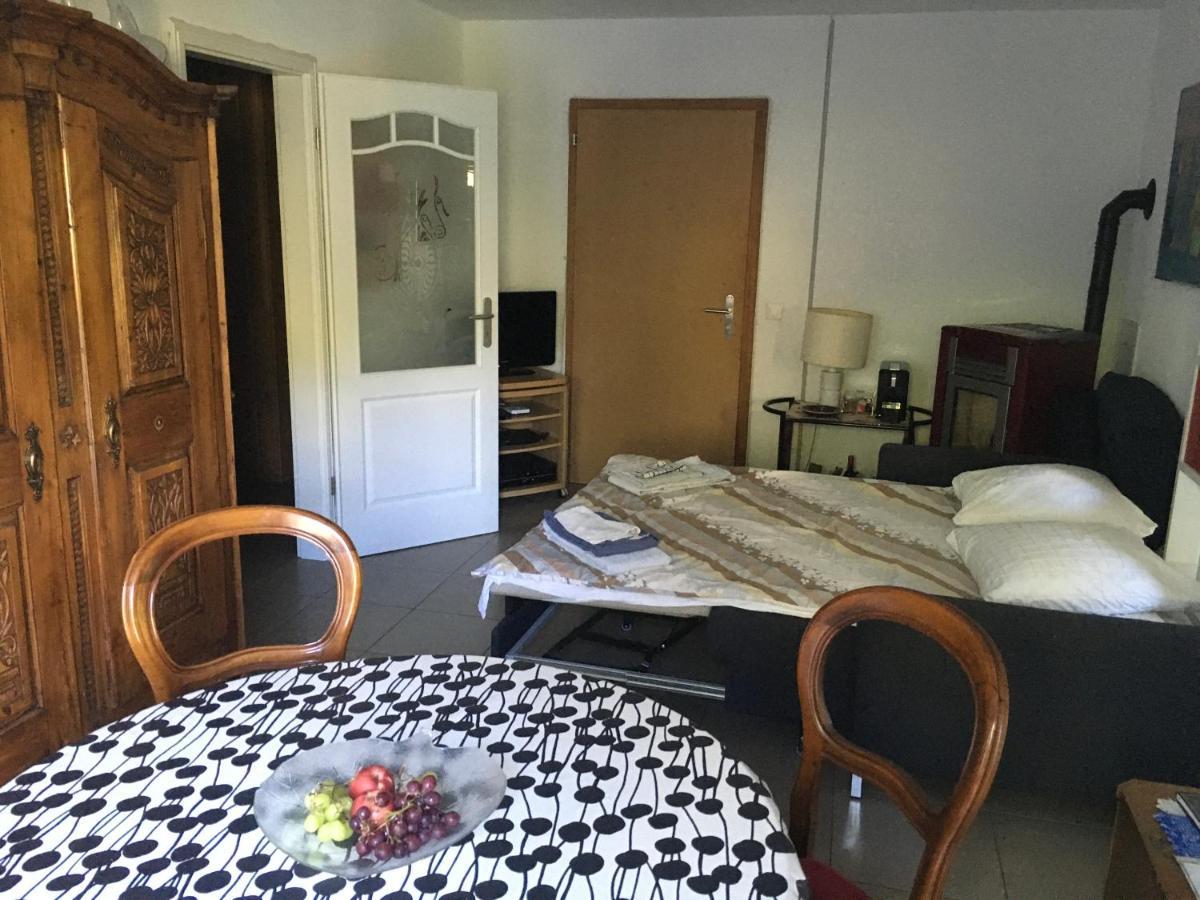 Casa In Koenigs Garten Διαμέρισμα Intragna Εξωτερικό φωτογραφία
